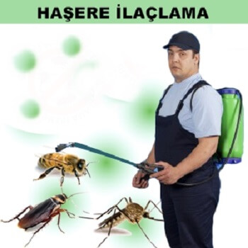 Tut Böcek İlaçlama